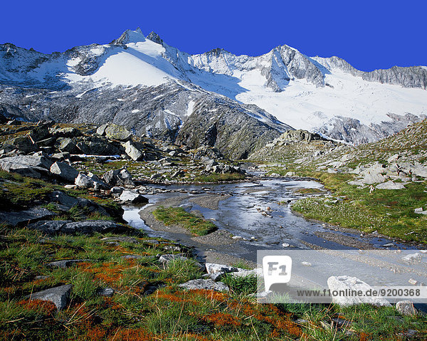 Reichenspitze und Gabler  Zillertaler Alpen  Tirol  Österreich  Europa
