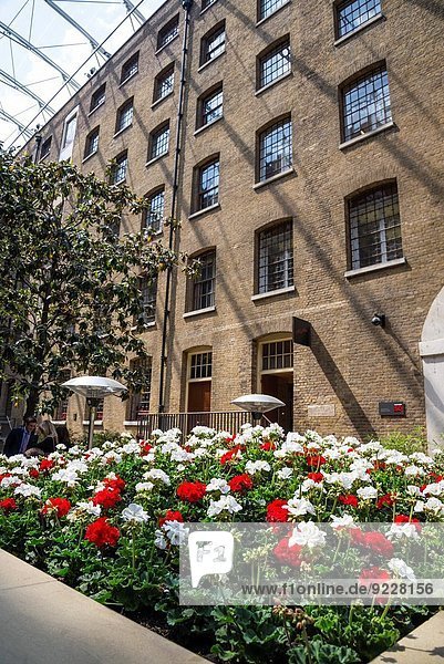 Blumenbeet Blume Großbritannien weiß rot Nelke City of London