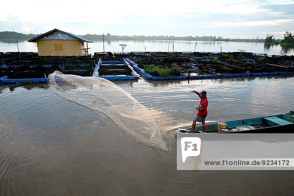 werfen Morgen Netz früh angeln Fischer Malaysia Sarawak