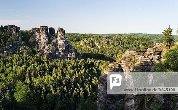 Nationalpark Felsbrocken Europa Berg Anordnung Ansicht sprechen Schweiz Mitteleuropa Deutschland Gans Juni Sandstein Sachsen