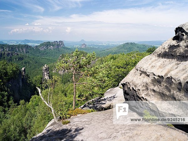 Nationalpark Felsbrocken Europa Berg sehen Aussichtspunkt Schweiz Mitteleuropa Deutschland Juni Sandstein Sachsen