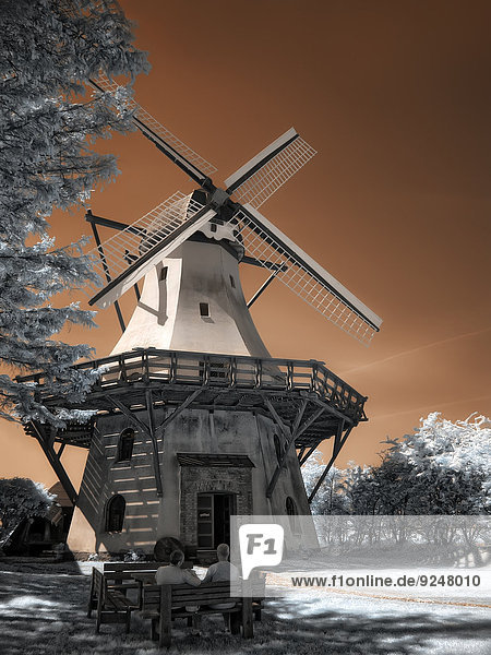 Windmühle im Freilichtmuseum in Langballig  Schleswig-Holstein  Deutschland  Infrarotfotografie