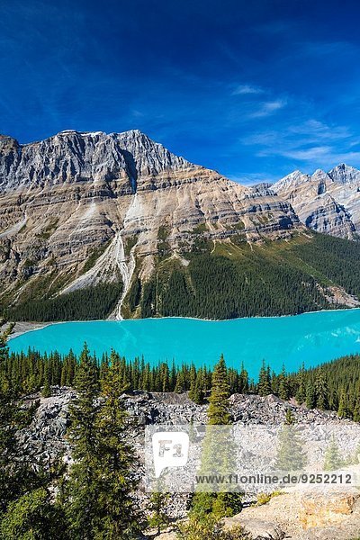 Nationalpark Schönheit See Peyto Lake Alberta Banff Kanada