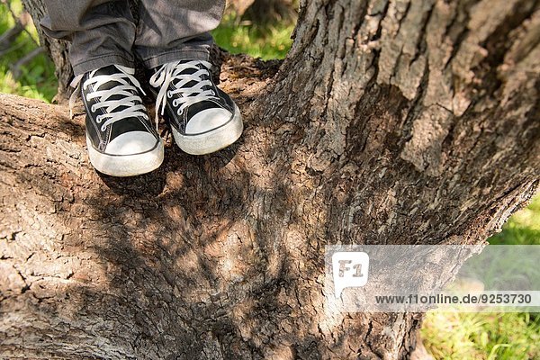 Beine und Füße eines jungen Mannes auf einem Baum stehend