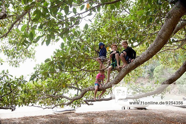 Portrait of girl and three brothers sitting in tree at beach