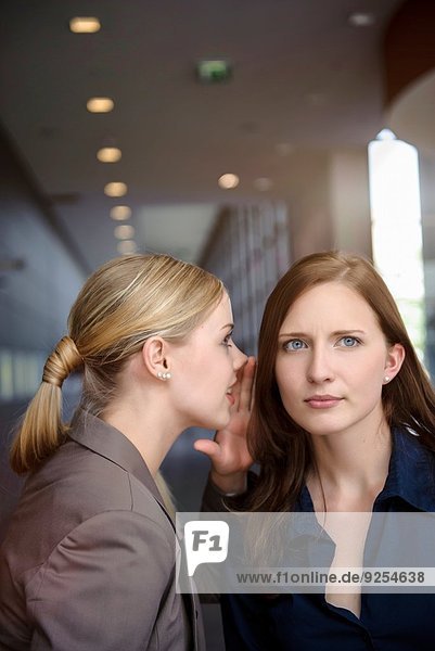 Zwei seriöse junge Geschäftsfrauen  die im Büro flüstern.