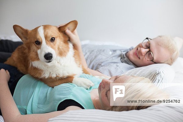 Süßer Corgi-Hund auf dem Bett liegend mit jungem Paar