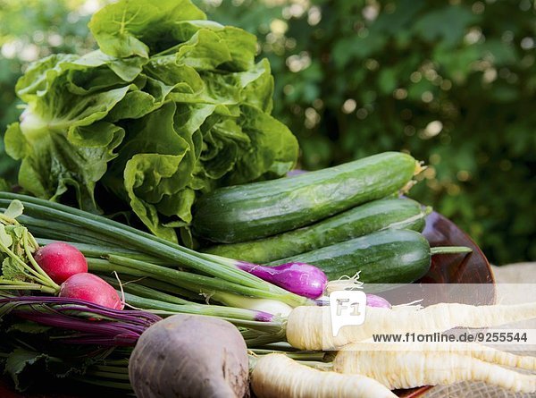 Frisches Gemüse und Kopfsalat im Korb auf Gartentisch