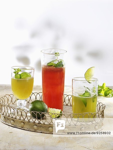 Verschiedene Limonaden (Ingwer-Minze  Wassermelone-Minze  Mojito)