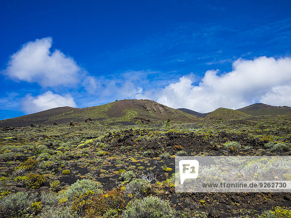 Spanien  Kanarische Inseln  La Palma  Faro de Fuencaliente  Vulkanlandschaft und Vegetation