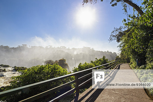 Brasilien  Parana  Spaziergang durch den Iguazu Nationalpark bei Gegenlicht