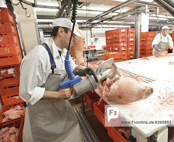 Verarbeitung von Schweineschlachtkörpern in einem Schlachthof