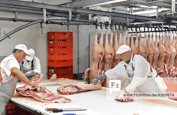 Verarbeitung von Schweineschlachtkörpern in einem Schlachthof