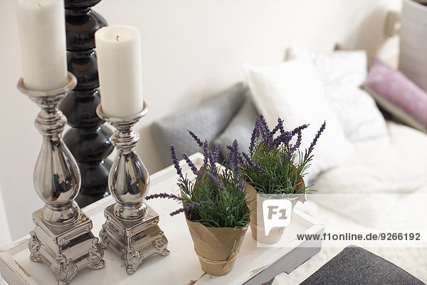 Dekoration mit Kerzenhaltern und zwei Topfpflanzen im Wohnzimmer