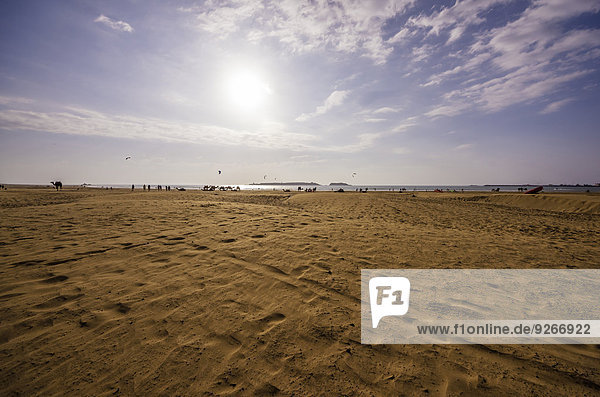 Morocco  Essaouira  beach
