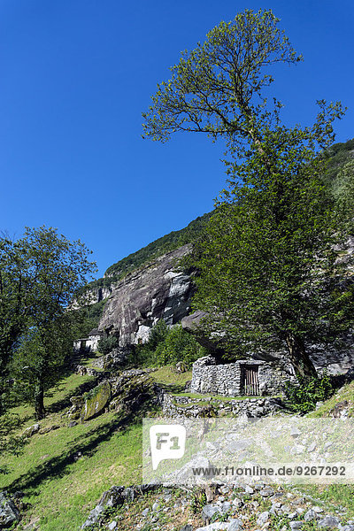 Schweiz  Tessin  Valle Maggia  Cevio  Bignasco  Historische Stätte Sott Piodau  Scheune