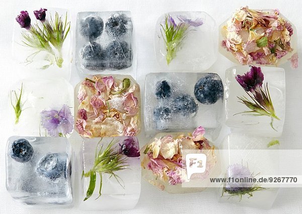 Blumen und Früchte gefroren in Eiswürfeln