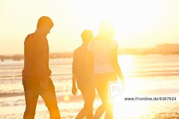 Freunde  die bei Sonnenuntergang am Strand spazieren gehen.