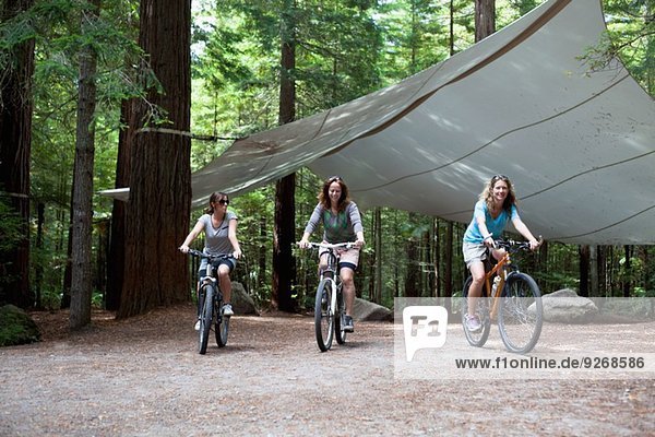 Drei Mountainbikerinnen radeln durch den Wald