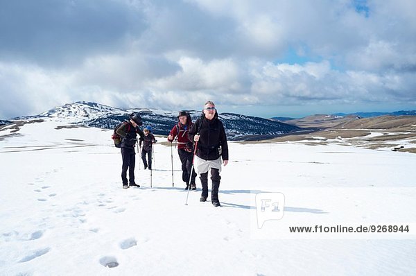 Four men hiking in snow  Bucegi Mountains  Transylvania  Romania