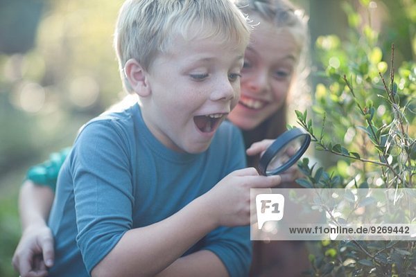 Brother and sister discovering plants with magnifying glass in garden