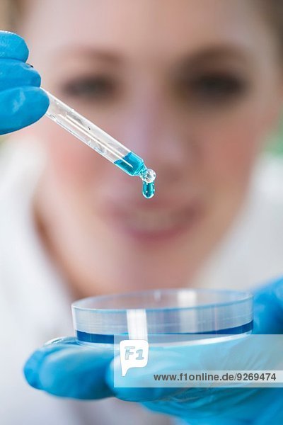 Nahaufnahme einer Wissenschaftlerin beim Pipettieren von Flüssigkeit in die Petrischale