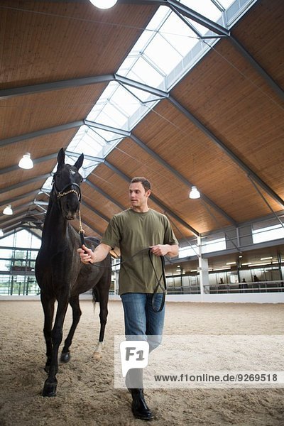 Male stablehand leading horse in indoor paddock