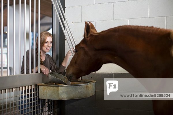 Female stablehand feeding horse through doorway in stables