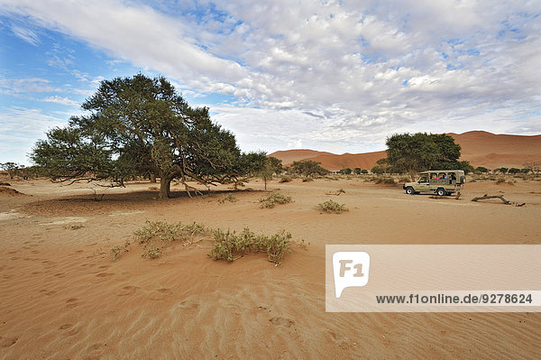Landscape with Safari car on the dunes of the Sossusvlei  Namibia