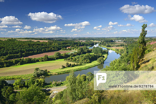Das Saaletal Naturpark Unteres Saaletal bei Rothenburg Sachsen-Anhalt Deutschland