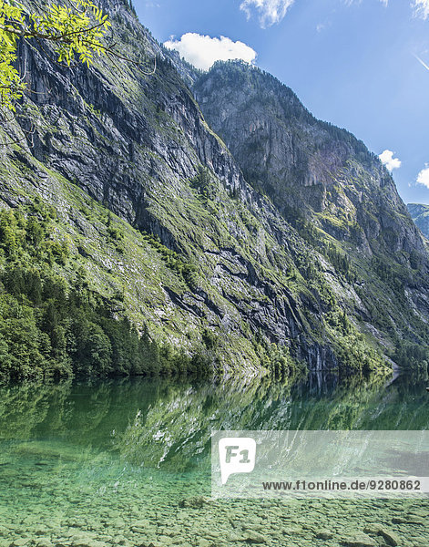 Obersee mit Wasserspiegelung  Salet am Königssee  Nationalpark Berchtesgaden  Berchtesgadener Land  Oberbayern  Bayern  Deutschland