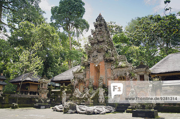 Pura Dalem Agung Padangtegal Tempel,  Monkey Forest Tempel im Affenwald von Ubud,  Ubud,  Bali,  Indonesien