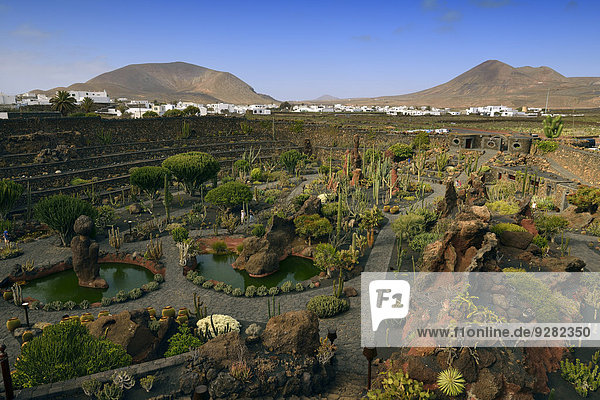 Ausblick vom Jardin de Cactus,  Kaktusgarten gestaltet vom Künstler Cesar Manrique,  auf Gebirge Risco de las Nieves,  Guatiza,  Lanzarote,  Kanarische Inseln,  Spanien