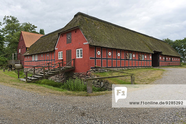 Mühle Gebäude Dänemark streichen streicht streichend anstreichen anstreichend rot Reetdach Fyrkat Hälfte alt