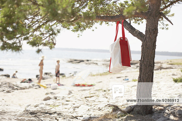 Strand, Baum, Tasche, hängen