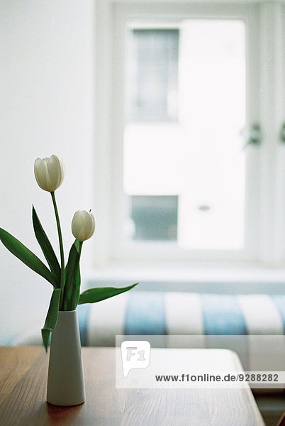 Ein Tisch und eine Vase mit weißen Tulpen und eine Fensterbank mit einem gestreiften Kissen.