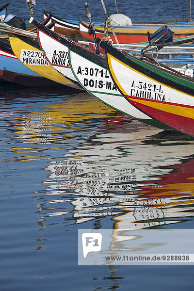 Traditionelle Moliceiros-Fischerboote mit hohen Bugspitzen  in lebhaften Farben bemalt  vor der Küste von Torreira festgemacht.