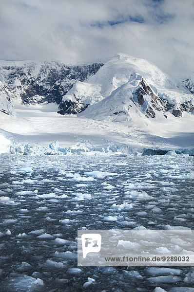 Berge und Schneelandschaft spiegeln sich im ruhigen Meerwasser wider. Eisschollen auf dem Wasser.