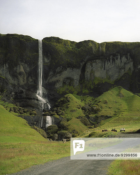 Ein Wasserfall in einer üppigen Landschaft  Djupivogur  Island