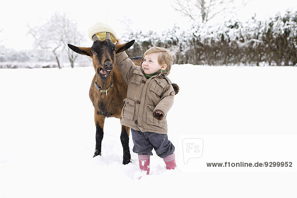 Baby girl putting her hat on goat