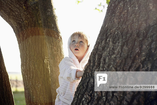 Ein junges Mädchen  das sich an einen Baumstamm lehnt und staunend aufblickt