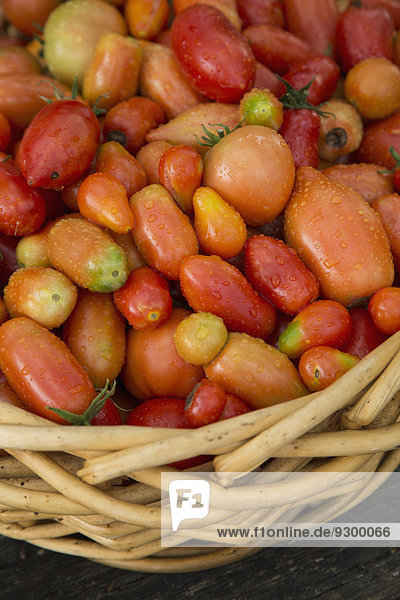 Nahaufnahme von frischen Tomaten im Korb