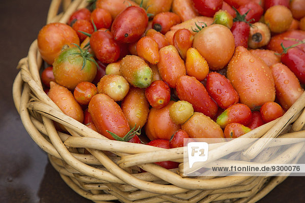 Nahaufnahme von frischen Tomaten im Wicketkorb