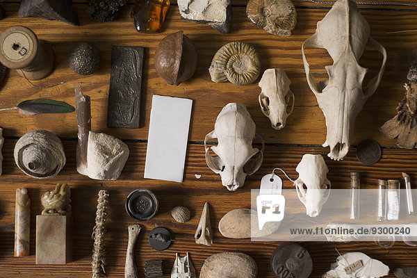 Sammlung antiker Überreste auf dem Tisch