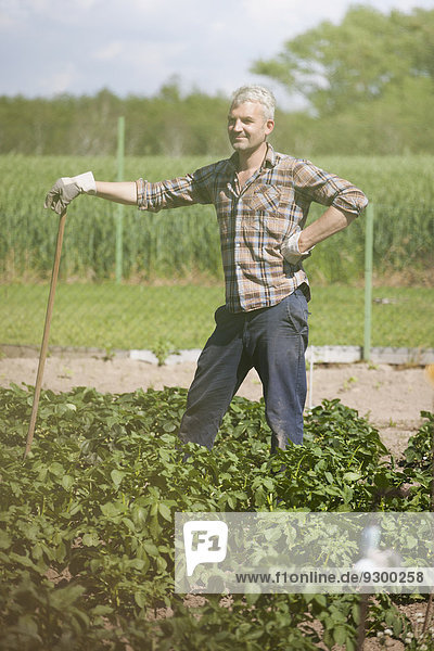 Lächelnder reifer Mann mit Stock im Gemüsegarten stehend