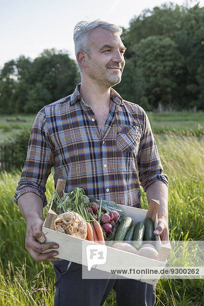Lächelnder  reifer Mann mit einer Kiste frisch geernteten Gemüses im Garten.