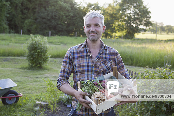 Porträt eines lächelnden  reifen Mannes mit einer Kiste frisch geernteten Gemüses im Garten.