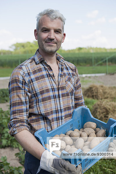 Porträt eines selbstbewussten Mannes  der eine Kiste mit geernteten Kartoffeln im Gemeinschaftsgarten trägt.