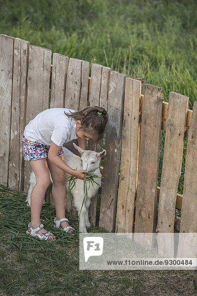 Junges Mädchen füttert Ziegenbaby im Park