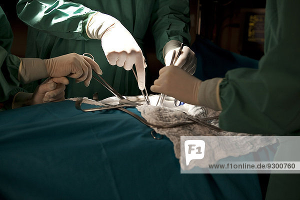 Ärzte und Krankenschwestern,  die einen Patienten im Operationssaal operieren,  Detail der Hände